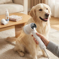 dog grooming at home with quiet dryer professional results