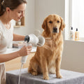 proquiet ion dog grooming dryer brush attachment 2 in 1 grooming tool